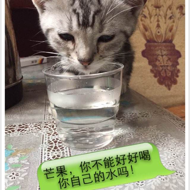中国银行存款证明怎么制作
